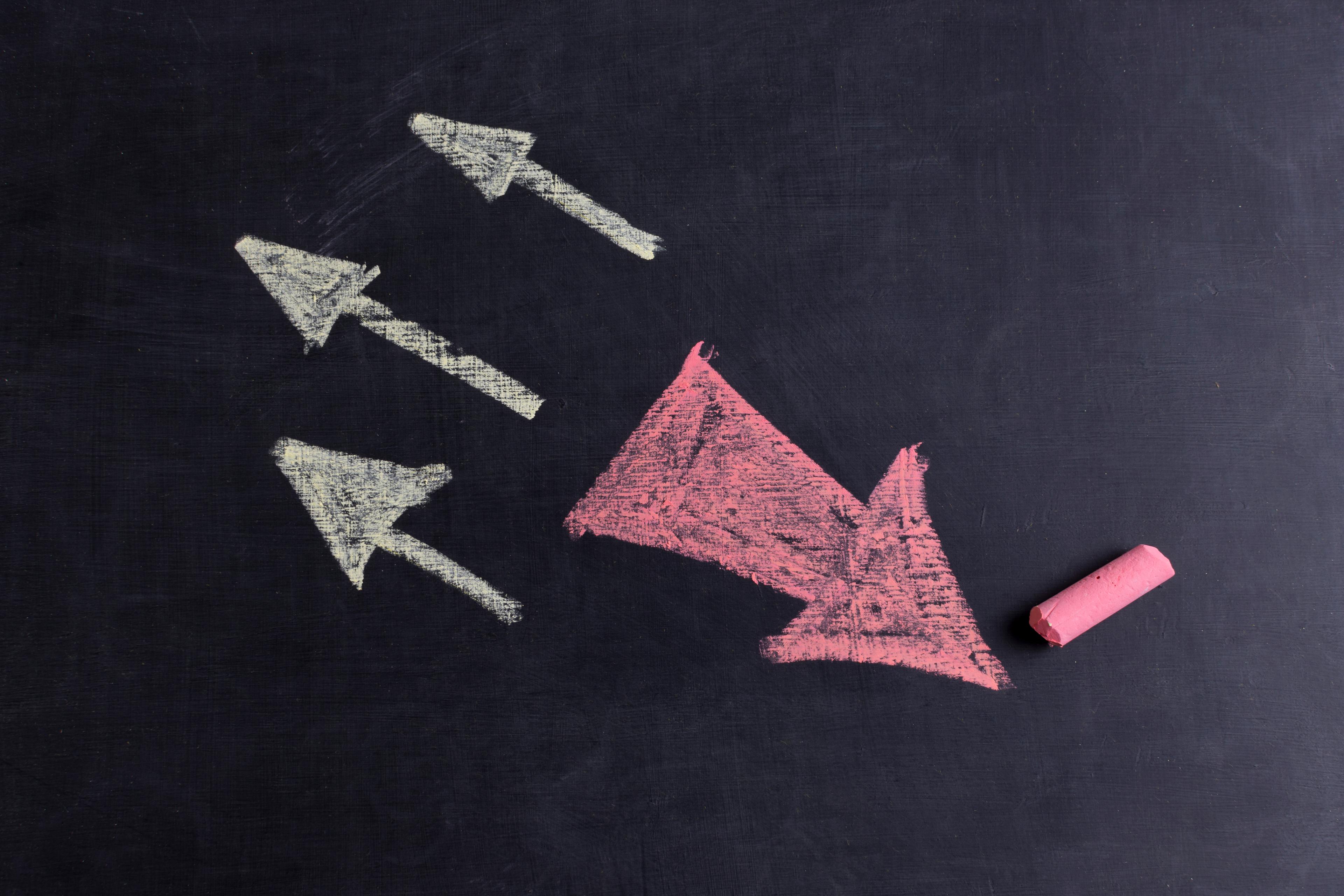 How Major Brands Use Search Insights for Decision-Making