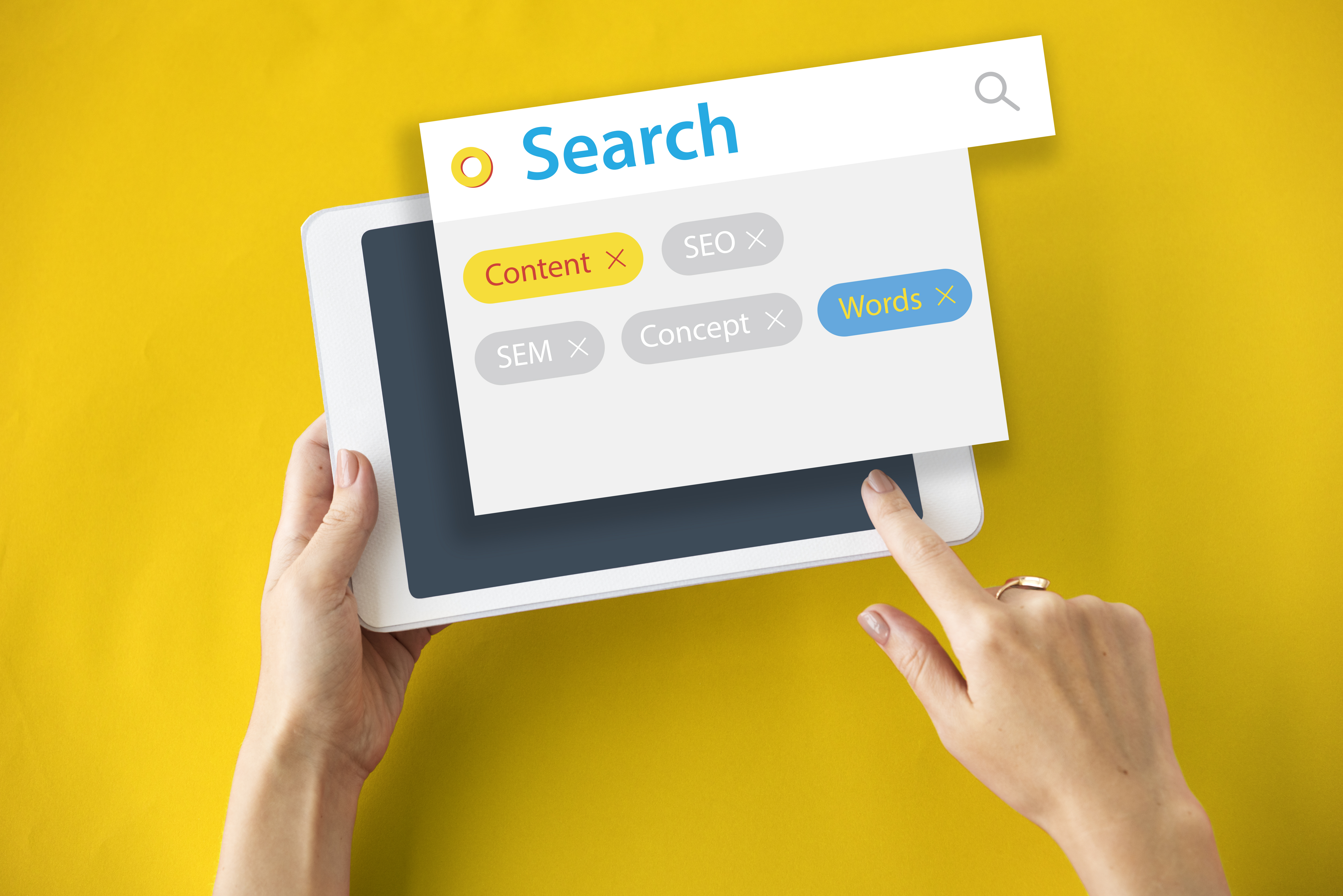 Search Insights