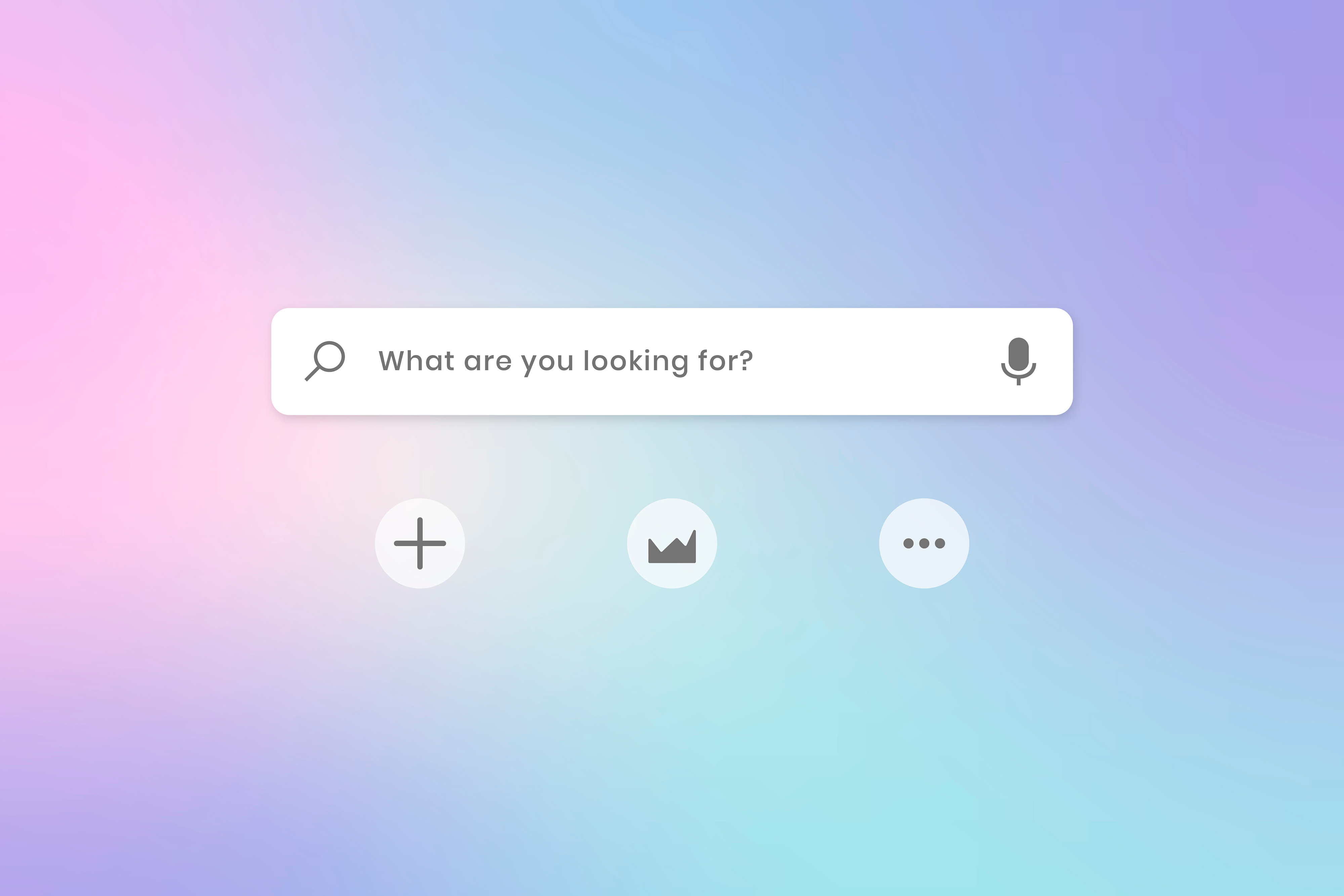 Search Insights
