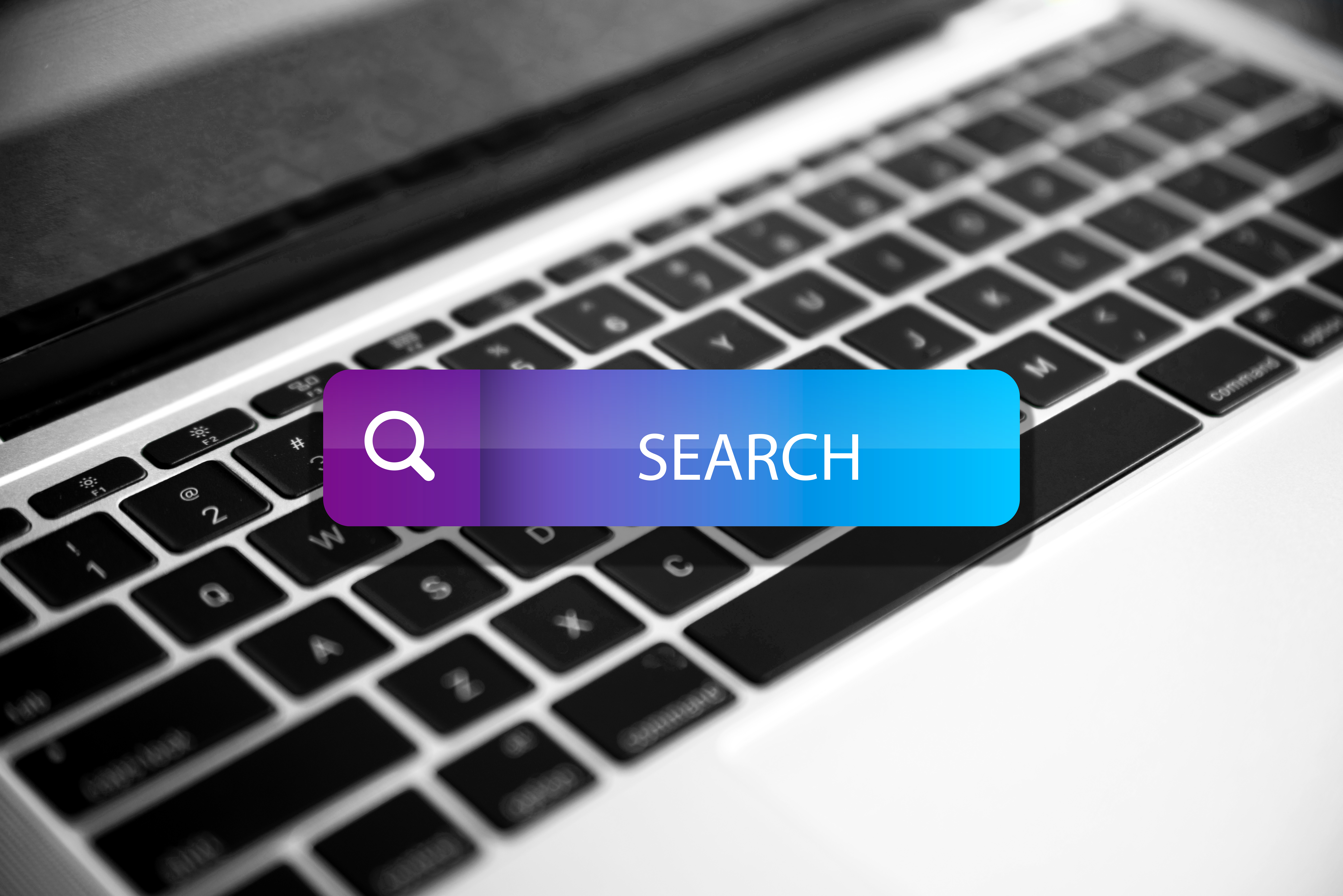Search Insights